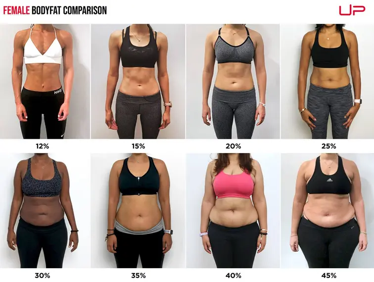 Various body fat percentages of women. 