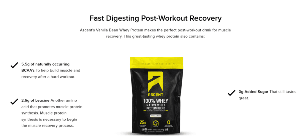 ascent protein review