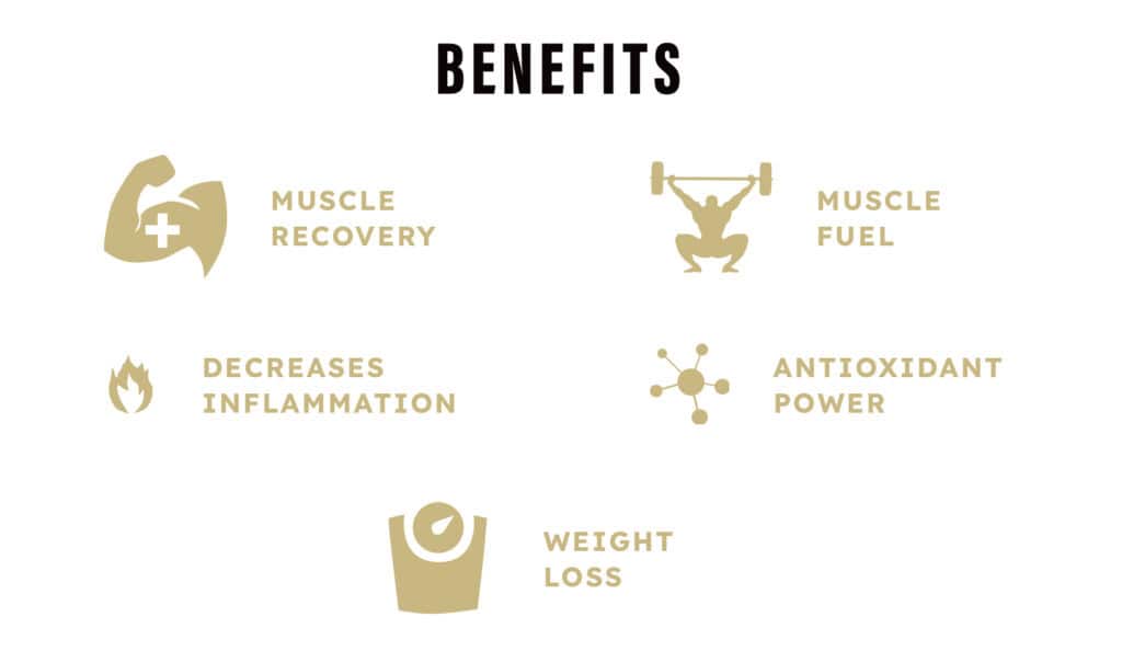 Earth Fed Muscle review